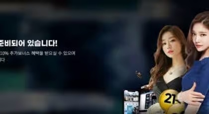 벳볼의 모든 것: 스포츠 배팅을 즐기는 현명한 방법